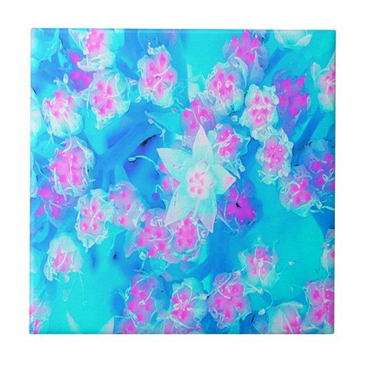 青と熱いピンクの多肉質の水中セダム タイル (正面)