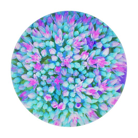 青と熱ピンク多肉性セダム花詳細 カッティングボード (正面)