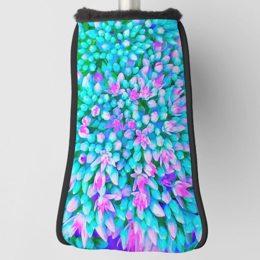 青と熱ピンク多肉性セダム花詳細 ゴルフヘッドカバー (回転90)