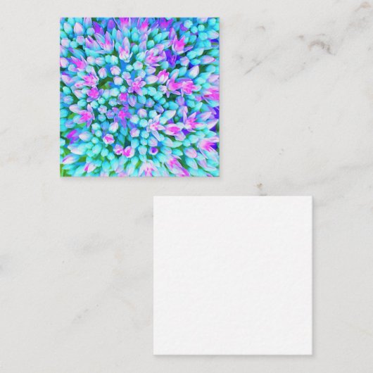 青と熱ピンク多肉性セダム花詳細 割引カード (正面/裏面)