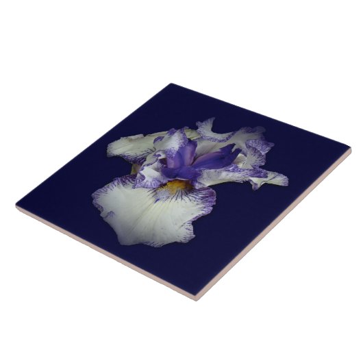 青と白のひげ iris 花 タイル (側面)