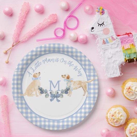 青と白のギンガムベビーシャワーウェルカムサイン ペーパープレート (パーティー)