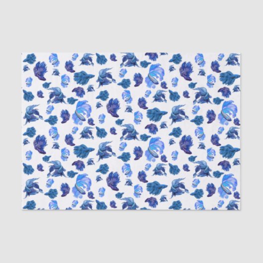 青と白のシャムの戦闘魚 薄葉紙 (正面)