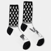 青と白のボストンテリアの名前と手 ソックス (右)