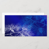 青と白の冬の松のフォトカード (正面/裏面)