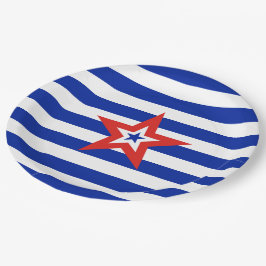 青と白の愛国的なアメリカのスターストライプ ペーパープレート