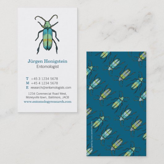 青と白の昆虫学者の名刺 名刺 (正面/裏面)
