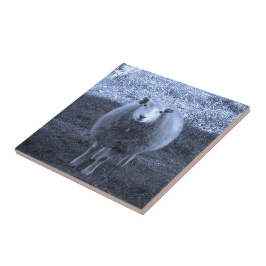 青と白の母の羊 タイル (側面)