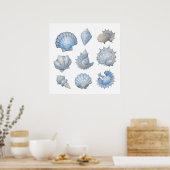 青と白の水彩の貝殻 - 海の産院 ポスター (キッチン)
