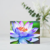 青と白の睡蓮の芸術 ポストカード (スタンド正面)