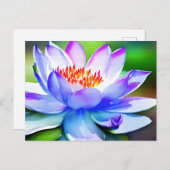青と白の睡蓮の芸術 ポストカード (正面/裏面)