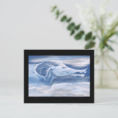 青と白の龍 ポストカード (スタンド正面)