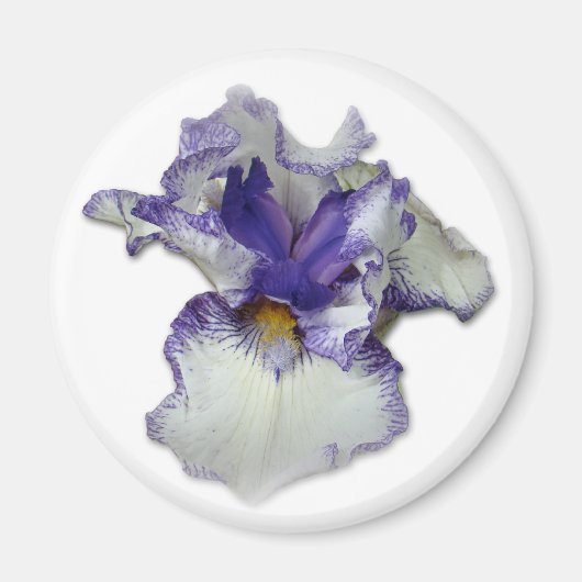 青と白ひげ菖蒲の花 マグネット (正面)