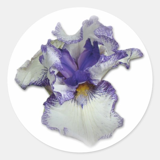 青と白ひげ菖蒲の花 ラウンドシール (正面)