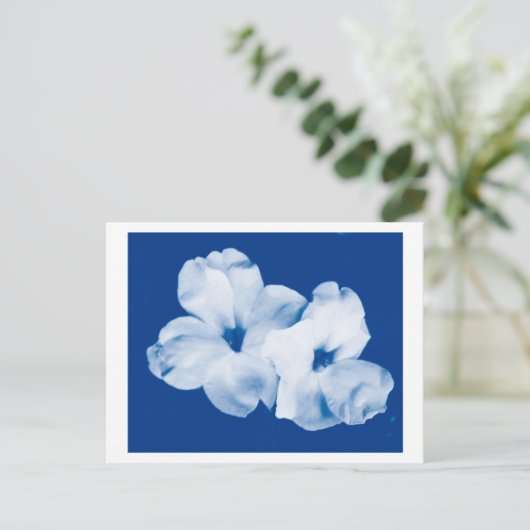 青と白 ポストカード (スタンド正面)