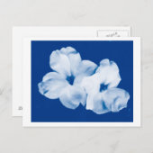 青と白 ポストカード (正面/裏面)