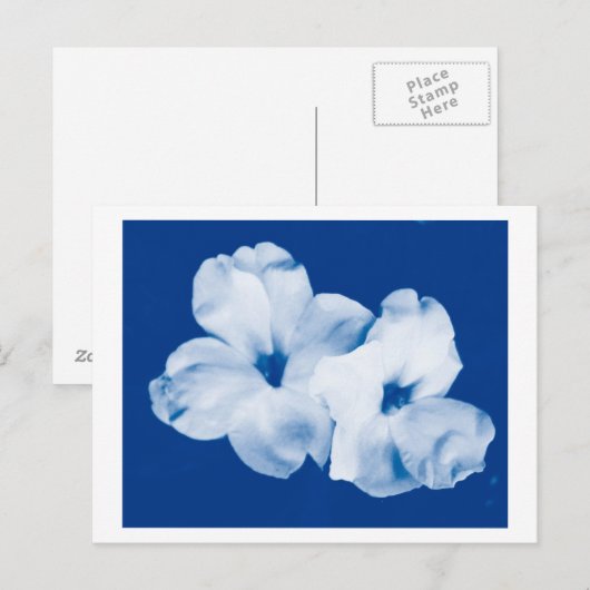 青と白 ポストカード (正面/裏面)