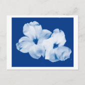 青と白 ポストカード (正面)