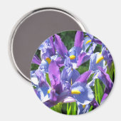 青と紫のアイリスの磁石 マグネット (正面/裏面)