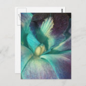 青と紫のランが閉まる ポストカード (正面/裏面)