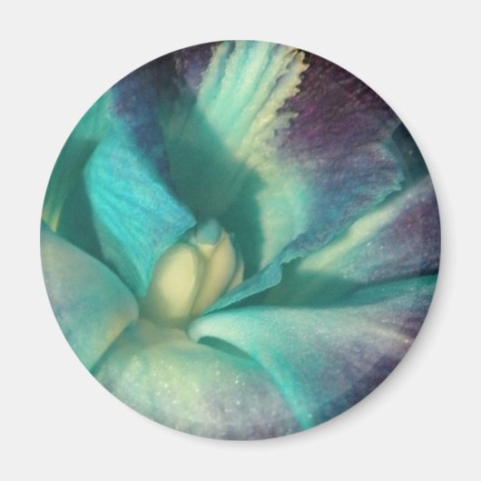 青と紫のランが閉まる マグネット (正面)