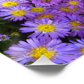 青と紫の梅の花パーフェクトポスター ポスター (コーナー)