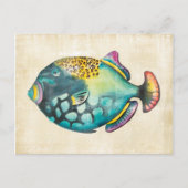 青と紫の水族館魚 ポストカード (正面)