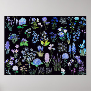 青と紫の花の背景(黒) ポスター