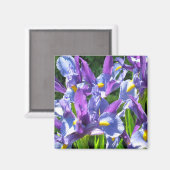 青と紫の虹彩 マグネット (正面/裏面)