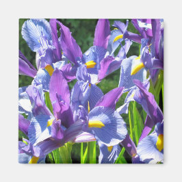 青と紫の虹彩 マグネット