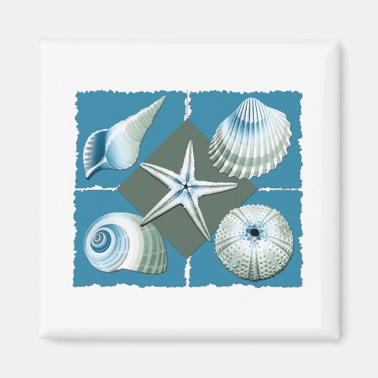 青と緑のシーシェル マグネット (正面)