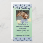 青と緑のポープリント誕生日招待状 (正面/裏面)