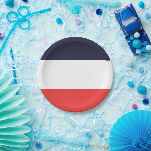 青と赤のストライプストライプのパーティー ペーパープレート (パーティー)