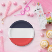 青と赤のストライプストライプのパーティー ペーパープレート (パーティー)