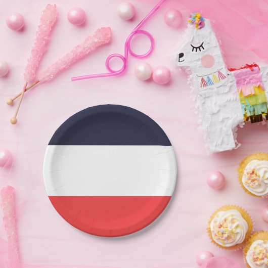 青と赤のストライプストライプのパーティー ペーパープレート (パーティー)