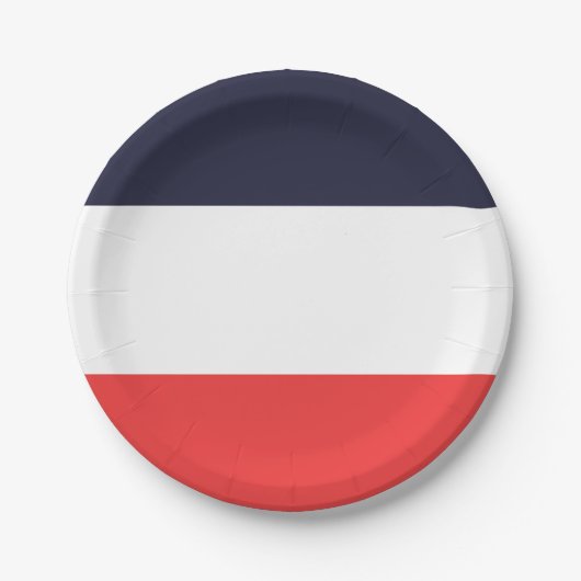 青と赤のストライプストライプのパーティー ペーパープレート (正面)