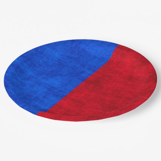 青と赤動揺しての2トーンのパターン ペーパープレート (アングル)