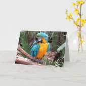 青と金ゴールドのMacaw (4436)グリーティングカード カード (黄色い花)