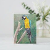 青と金ゴールドマコーバードアートハガキ ポストカード (スタンド正面)