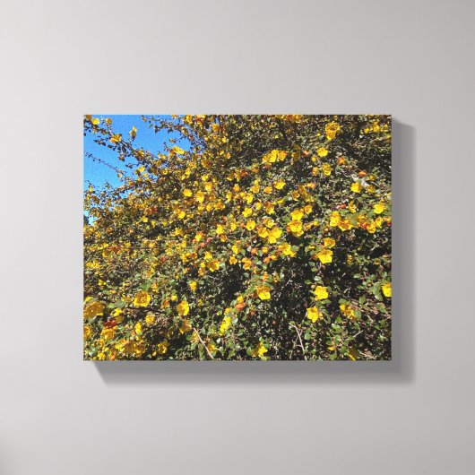 青と金ゴールド キャンバスプリント (正面)