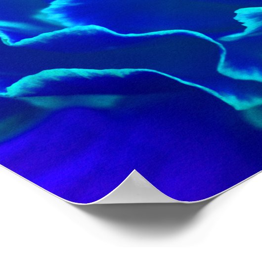 青と鮮やかティール（緑がかった色）カーネーションの花 ポスター