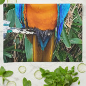 青と黄のマコーオウム キッチンタオル (折り畳み)