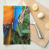 青と黄のマコーオウム キッチンタオル (四つ折り)
