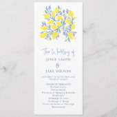 青と黄の植物性ブライト結婚ズ プログラム (正面)