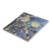 青と黄の《鳥》アメリカゴガラ科 タイル (側面)