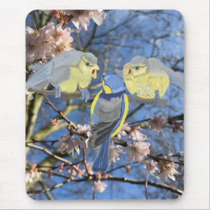 青と黄の《鳥》アメリカゴガラ科 マウスパッド
