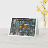 青と黄色のインコの肖像 カード (黄色い花)