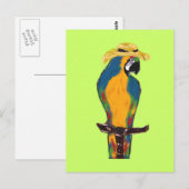 青と黄色のオウム ポストカード (正面/裏面)