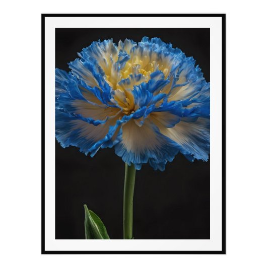 青と黄色のカーネーション フォトプリント            (正面)