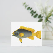 青と黄色のグーフィー魚、ヴィンテージ海洋生物 (スタンド正面)